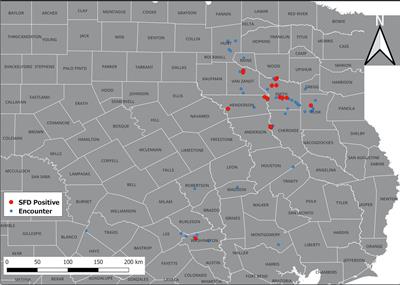 Incidents of snake fungal disease caused by the fungal pathogen Ophidiomyces ophidiicola in Texas